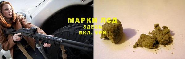 ГАЛЛЮЦИНОГЕННЫЕ ГРИБЫ Беломорск