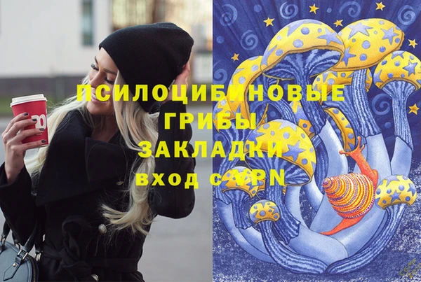 ALPHA PVP Белокуриха