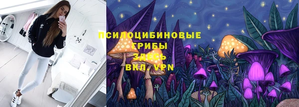 ALPHA PVP Белокуриха