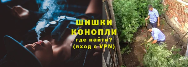 прущие грибы Белоозёрский