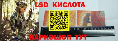 СК Сланцы