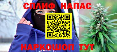 СК Сланцы