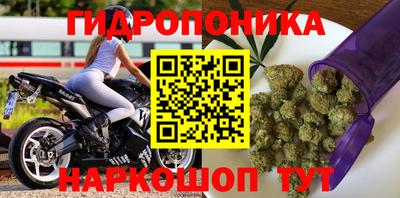 СК Сланцы